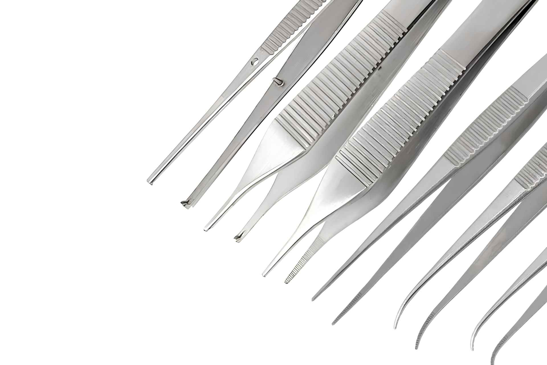 Macro view of precision stainless steel forceps showing fine serrated tips and jaws